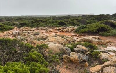 Hoe lang duurt het om de Fishermen’s Trail te wandelen?