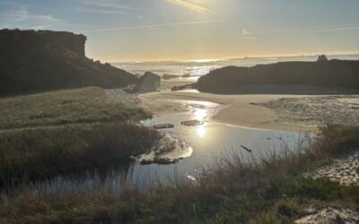 Met de trein naar de Fishermen’s Trail: São Torpes of Lagos